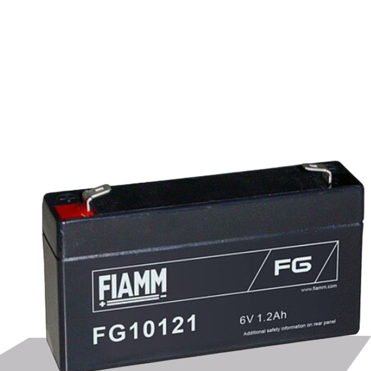 FIAMM Bleiakku FG10121